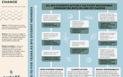 Embark’s 2017-2020 Strategic Plan