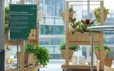 Embark Launches Indoor Vertical Garden at SFU Surrey