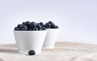 Blueberry Pickings!