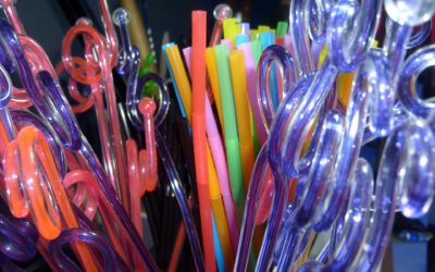 Plastic Straws, A Thing of the Past?