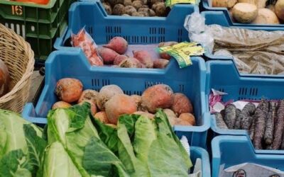 Re-connecting to our local food system during these unprecedented times