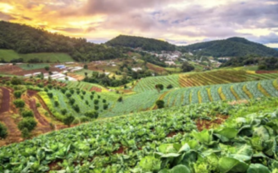 Agriculture – How Can Farming Be More Sustainable?