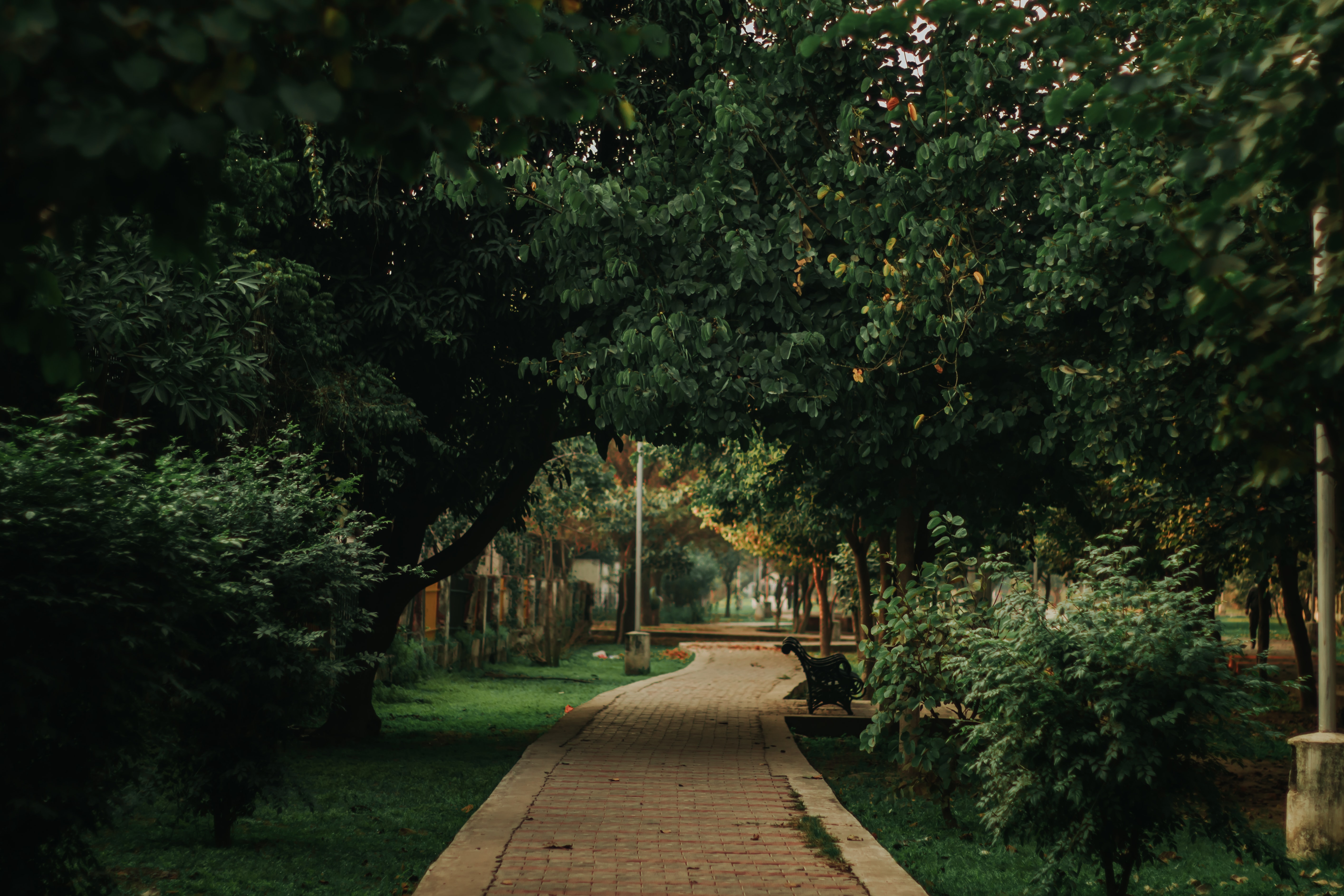 Caring for Nature and parks