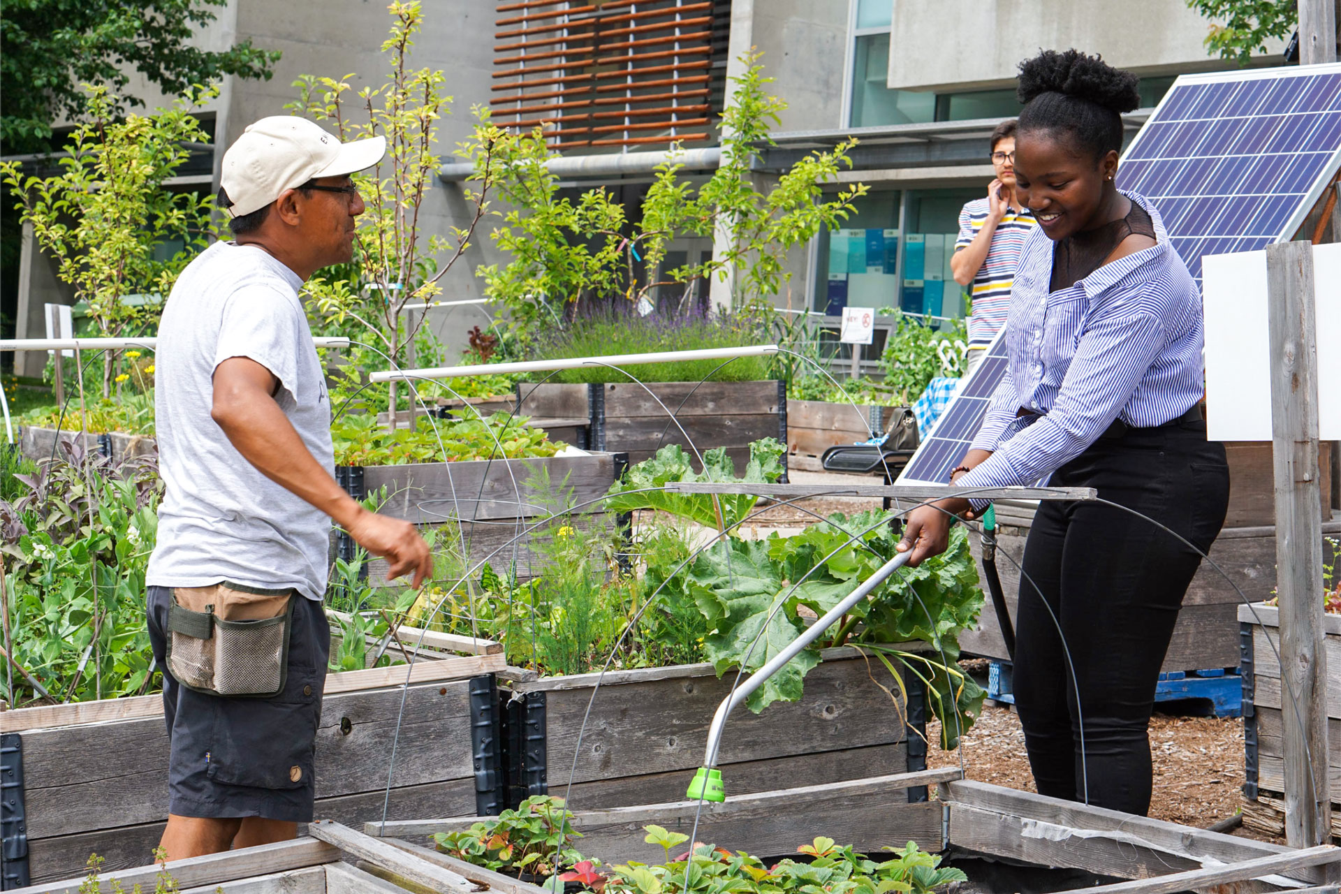 Embark Sustainability Learning Gardens in Burnaby